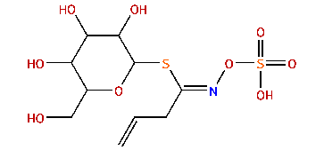 Sinigrin monohydrate