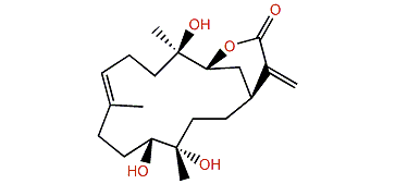 Sinuflexolide