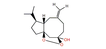 Sinuketal