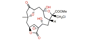 Sinularectin