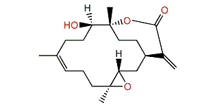 Sinulariolide