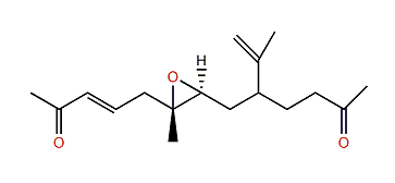 Sinulerectadione