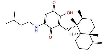 Smenospongiarine