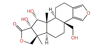 Sponalactone