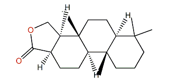 Spongian-16-one