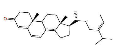 (24E)-Stigmasta-4,6,8(14),24(28)-tetraen-3-one