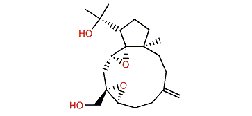 Stolonidiol