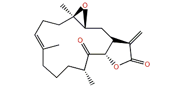 Succinolide