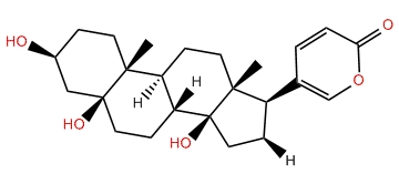 Telocinobufagenin