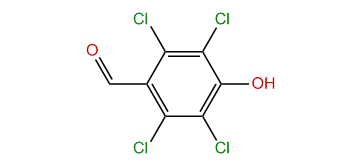 Tetrachloro-4-hydroxybenzaldehyde