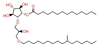 Tetradecanoylisocrasseride