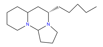 Tetraponerine_8