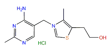 Thiamine