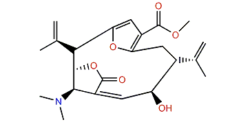 Tobagolide