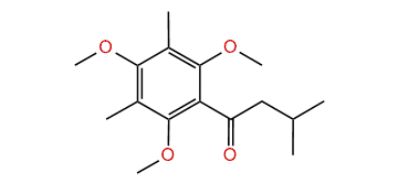 Torquatone