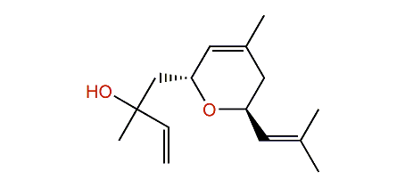 trans-Bejarol