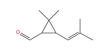 trans-Chrysanthemal