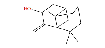 trans-Longipinocarveol