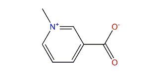 Trigonelline