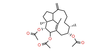 Trinervi-2b,3a,13a-triol-2,3,13-O-triacetate