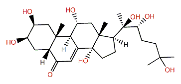 Turkesterone