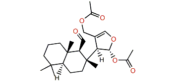 Tyrinnal