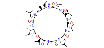 Urumamide