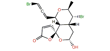 Vagiallene