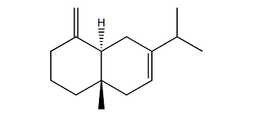 Vetiselinene