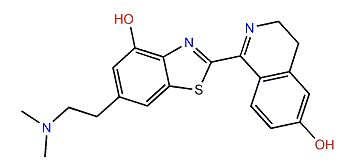 Violatinctamine