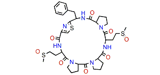 Waiakeamide