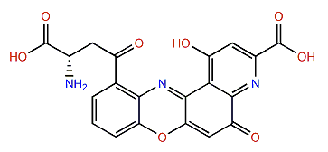 Xanthommatin