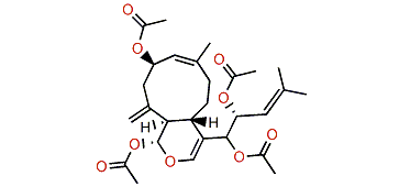 Xenicin