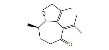 Zierone